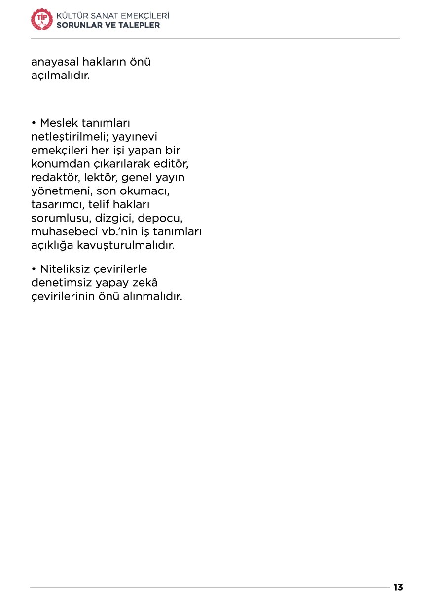 Sayfa 13