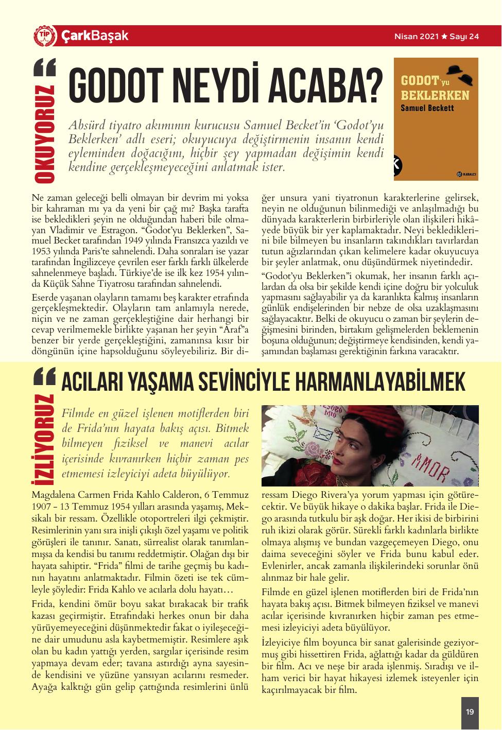 Sayı 24 - Sayfa 19
