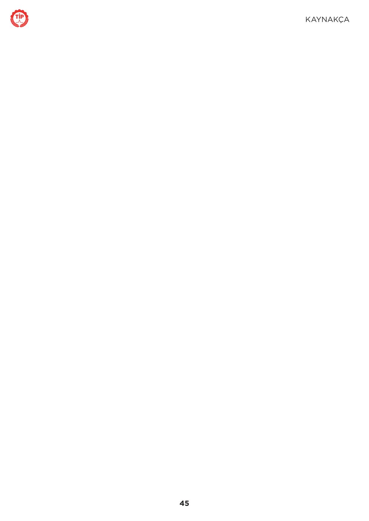 Sayfa 45